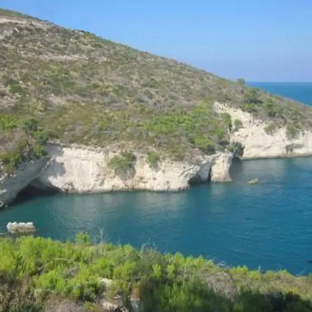 Monolocale Vieste