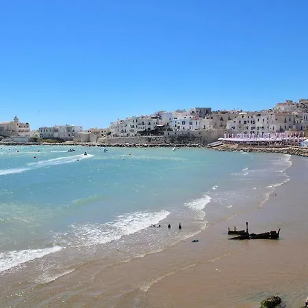 Monolocale Vieste